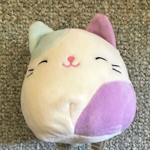 Small cat squishmallow